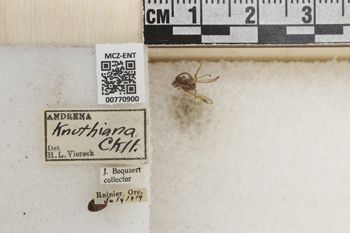 Media type: image;   Entomology 770900 Aspect: Labels